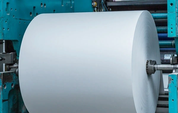Paper Industry