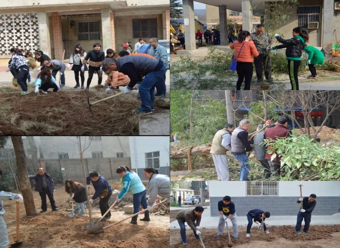Micro Sensor Organized Tree-planting Public Activity on March 12 Micro Sensor Organized Tree-planting Public Activity on March 12