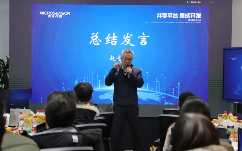 Vice Chairman of Micro Sensor Vice Chairman of Micro Sensor