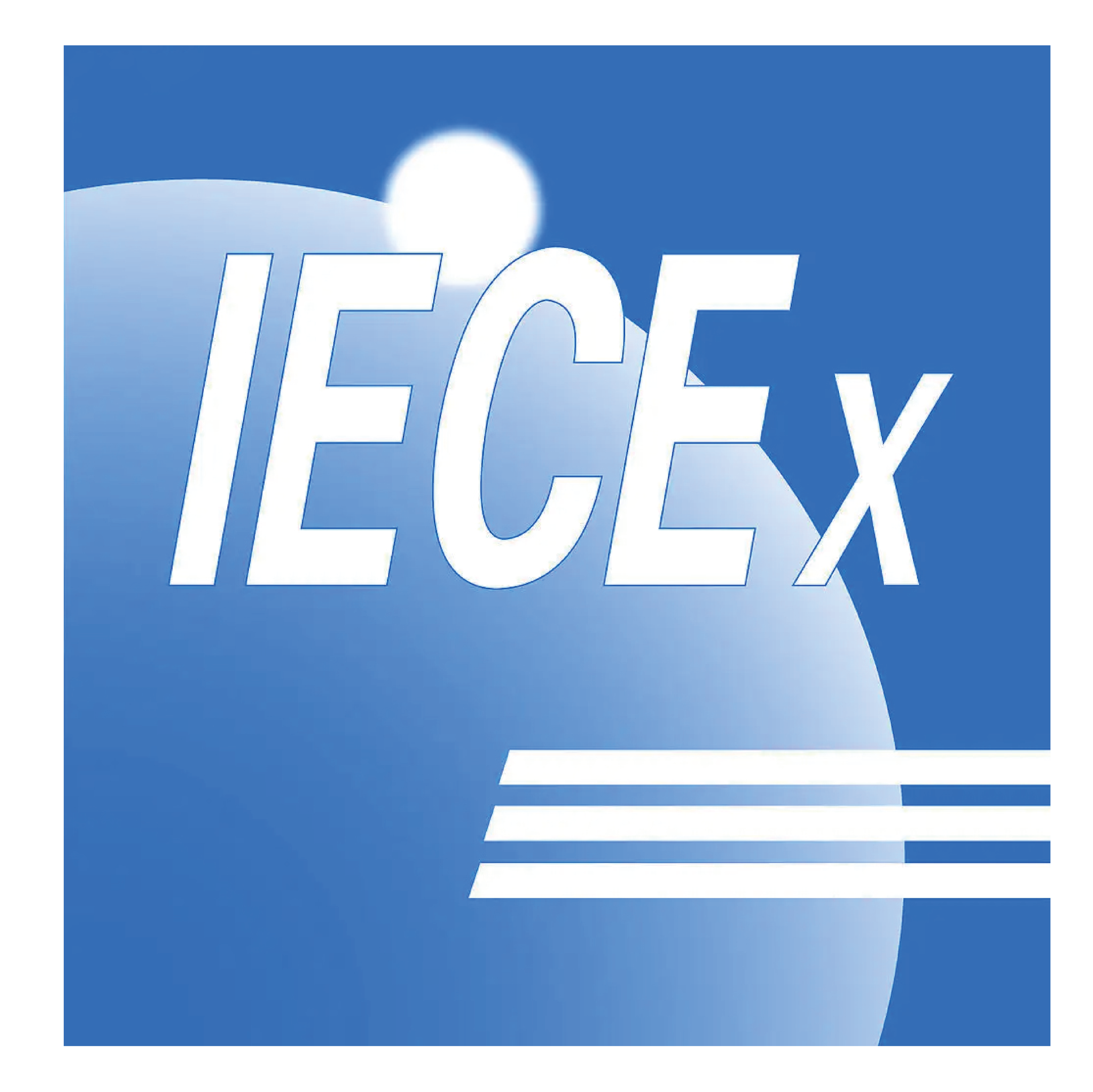 International Electrotechnical Commission（IEC）