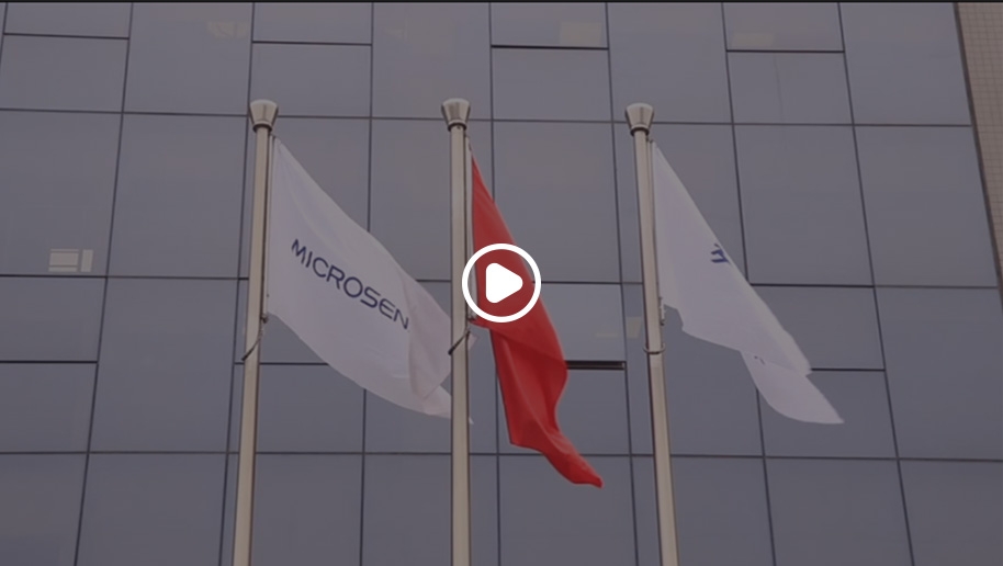 MicroSensor Factory