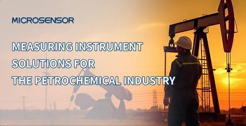 Measuring Instrument Solutions for the Petrochemical Industry